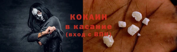 apvp Снежногорск