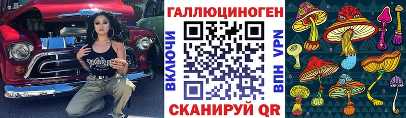 Галлюциногенные грибы Psilocybe Буинск