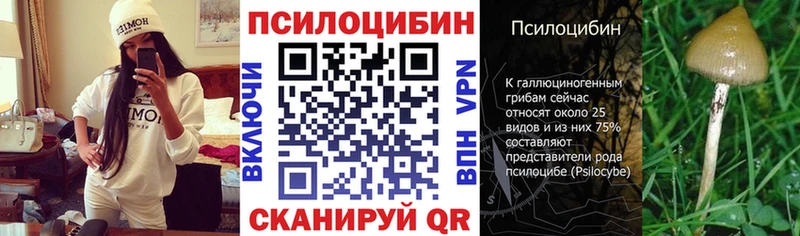 Псилоцибиновые грибы Magic Shrooms  Буинск 